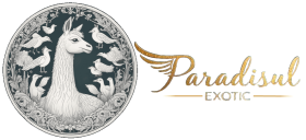 Paradisul Exotic